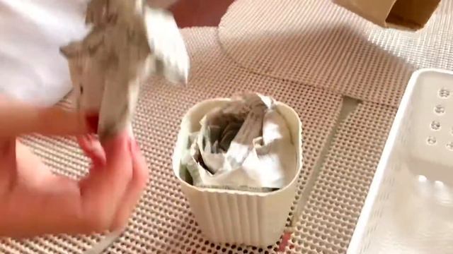 Unboxing DEBBIE SUCCULENT bought in SHOPEE 🥰 смотреть онлайн