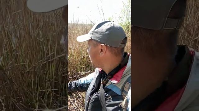 Открытие рыболовного и водомоторного сезона в Беларуси 19 05 2021 по Брестской и Гомельской обл. смотреть онлайн