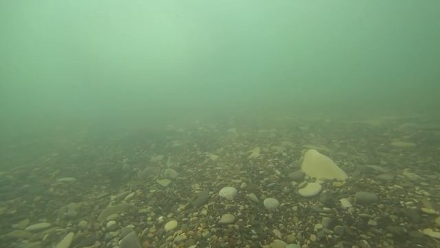 Дивноморское. Море, пляж, жильё, кафе, цены. Что творят дельфины. (Папа Может)