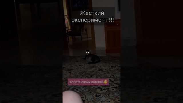 С котиком все нормуль, а вот у меня до сих пор запор…