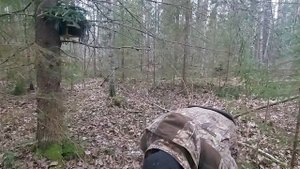 Промысел куницы капканами/Дали старт/Ждём результатов!