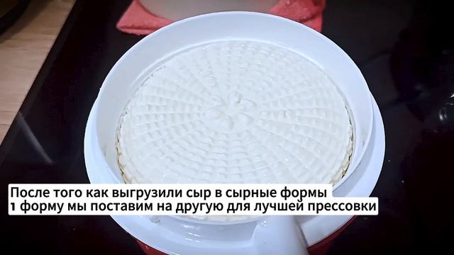 Сыр Халуми своими руками