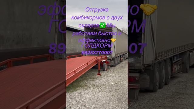 Отгрузка комбикормов Голдкорм!) Качественный полнорационный корм!) 89253770007 смотреть онлайн