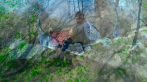 Аброр Назаров/ Abror Nazarov