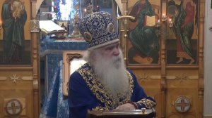 Сретение Господа нашего Иисуса Христа. Первосвятительское слово после чтения Евангелия 15_02_22.