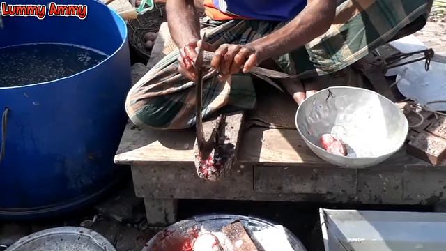 Easy Process To Cut Asian Carp  Katla Fishes - Quick Process Of Big Fish Cutting.