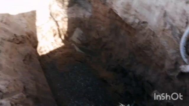 Шамбо. Березовка. смотреть онлайн