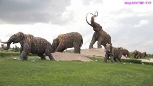 Путешествие с Маджестик тур  Другая Маньчжурия  Парк мамонтов