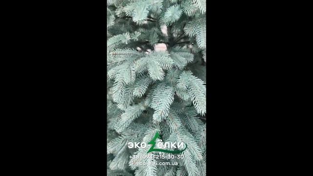 Елка искусственная "Ковалевская" Голубая (Литая 100%) Штучна ялинка "Ковалівська" смотреть онлайн