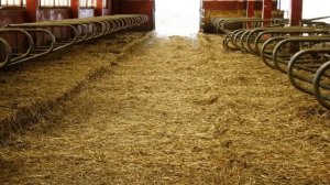 Измельчитель рулонов грубых кормов ИГК-5М