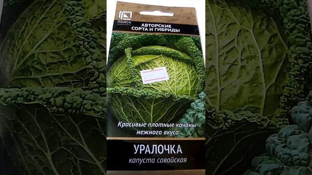 Самая разная капуста - лучшие сорта и гибриды смотреть онлайн