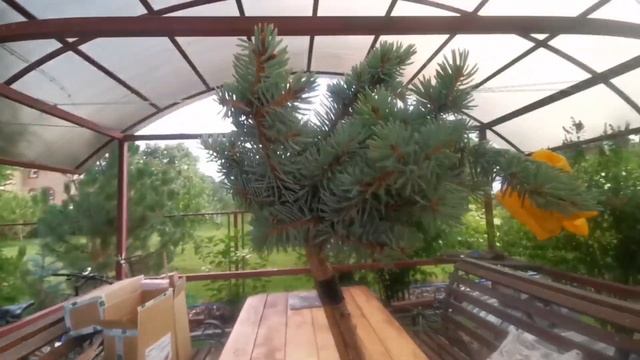 Обзор посылки из ин-т магазина Дивный сад Беларусь. Обманщики! Кажется надули?Август 2022 смотреть онлайн