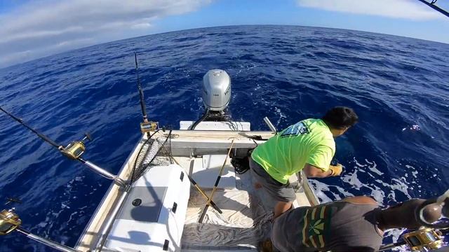 Ethan's First Pacific Blue Marlin and some Aku смотреть онлайн