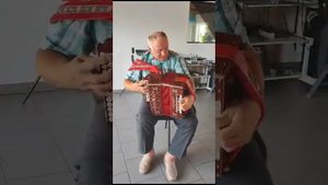 Гармонь Победа Си мажор, высокая, без баритона.