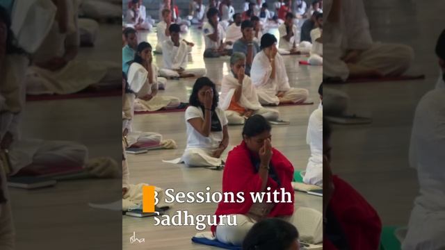 In the Grace of Yoga with Sadhguru - Online Pgm Begins on 15 Feb 2023 смотреть онлайн