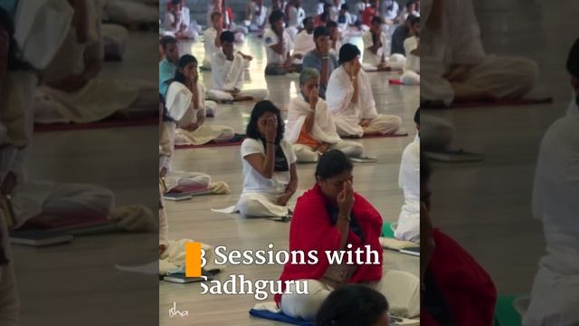 In the Grace of Yoga with Sadhguru - Online Pgm Begins on 15 Feb 2023