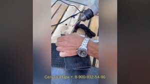 Установка Ремней и Замков на Джон Дир пресс-подборщик