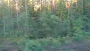 На Ласточке из Санкт Петербурга в Петрозаводск