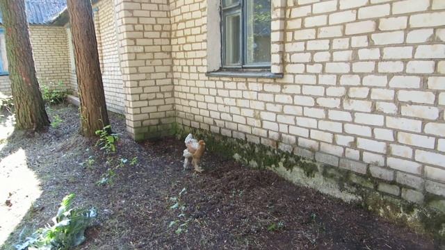 ЭкоФерма - Куры Брама