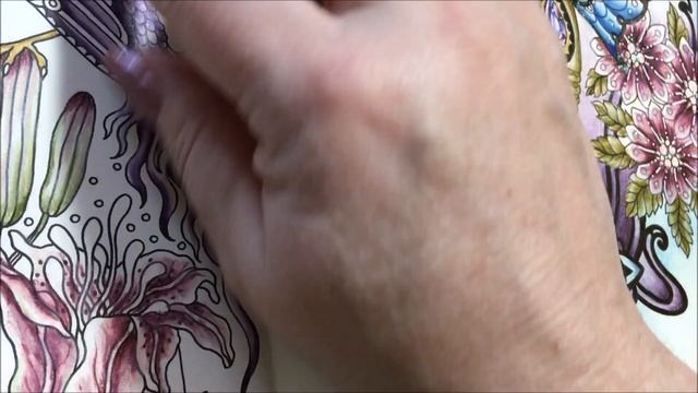 Adult Coloring - Magical Dawn Lilies and Birds - part 2 смотреть онлайн