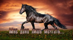 Мне дано лишь мечтать*