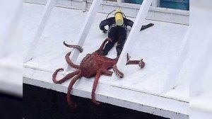 Неповторимые фото, сделанные не специально