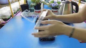 ПОСЕВ СЕМЯН ТОМАТОВ С КИПЯТКОМ И БЕЗ ! СРАВНЕНИЕ РЕЗУЛЬТАТОВ!