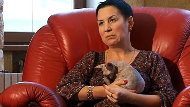 Лапы и хвост 03.02.2013 смотреть онлайн