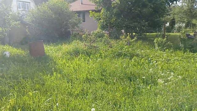 105 приехал на дачу.... Кения отдыхает..... смотреть онлайн