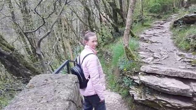 #Тисо-Самшитовая роща смотреть онлайн