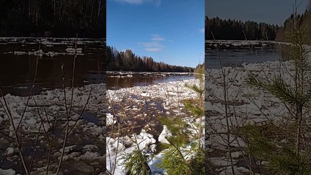 Река Кострома смотреть онлайн