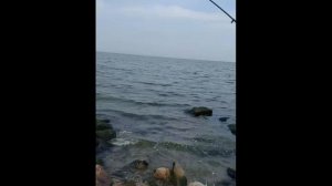 Каспийское море Ловля Кефали