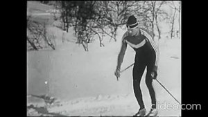 Попеременный двухшажный ход