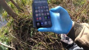 Тест приманки на бобра TRAP, и отчёт с фотоловушки KUBIK