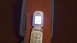 Samsung SGH-X490 T-Mobile Выкл/Вкл!