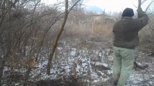 Дача В Моспино. Удаление Облепиховой Поросли _08.12.2017