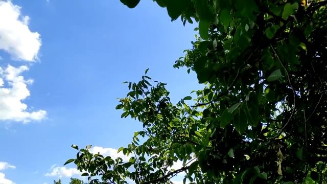 Воздвиженье  27 сентября.  Что нельзя делать.