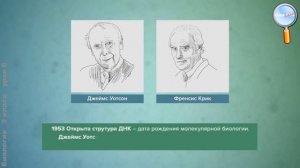 Биология 9 класс (Урок№6 - ДНК — молекулы наследственности. РНК, структура и функции.)