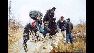 D O B  Community   так уж сложилось