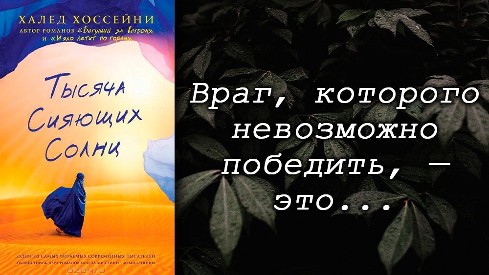 Халед Хоссейни /  Тысяча сияющих солнц / Что почитать? / Обзор книг / Цитаты