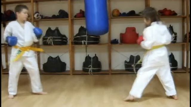 Сёриндзи Кэмпо - Дети (Москва, Россия) | Russian Shorinji Kempo Kids 2 | 少林寺拳法