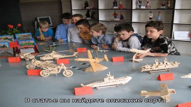 Пасленовые