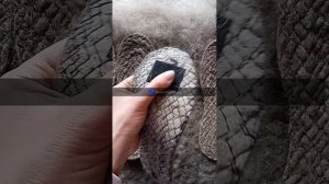 Стельки с собачьим пухом. Кусочек процесса изготовления.