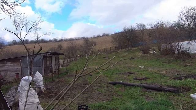 #79 Посадили сливу/Жизнь на юге после переезда с Урала/Краснодарский край