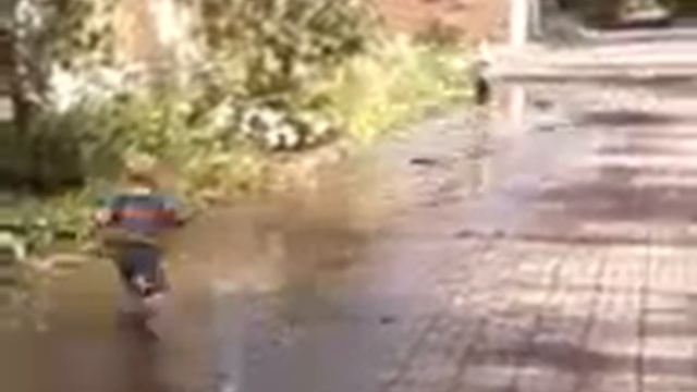 Летние олимпийские игры, плавание смотреть онлайн