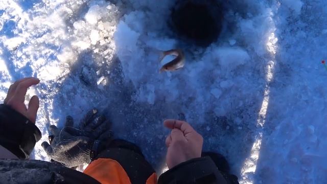 ЯКУТСК | ПЕРВЫЙ ЛЁД 2020 | РЫБАЛКА 203 мкр смотреть онлайн