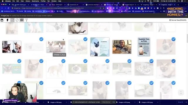 Jeseekia Vaughn - Introduction to Google AutoML смотреть онлайн