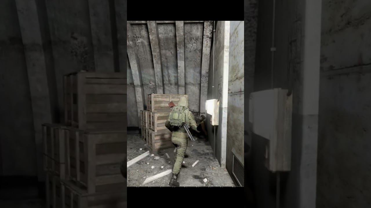 Stalker RP когда тебе не много за 30stalker shorts