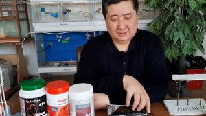 Канарейки в Казахстане- обращение к акимату города Шымкент по помощи в проведении выставки.