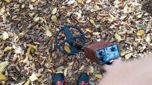 НАСТРОЙКА МЕТАЛЛОИСКАТЕЛЯ ТЕРМИНАТОР ТРИО В 2022